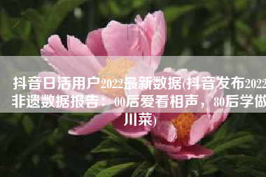 抖音日活用户2022最新数据(抖音发布2022非遗数据报告：00后爱看相声，80后学做川菜)