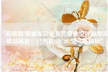 高精狙(新疆军区全装荒漠星空迷彩部队砺剑高原：已列装QBU203型“高精狙”)