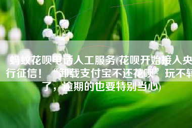 蚂蚁花呗电话人工服务(花呗开始接入央行征信！“卸载支付宝不还花呗”玩不转了，逾期的也要特别当心)