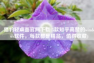 猎豹轻桌面官网下载(5款知乎高赞的windows软件，每款都是精品，值得收藏)