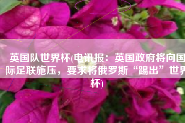 英国队世界杯(电讯报：英国政府将向国际足联施压，要求将俄罗斯“踢出”世界杯)