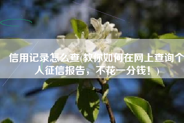 信用记录怎么查(教你如何在网上查询个人征信报告，不花一分钱！)