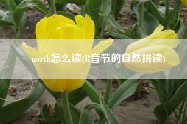 north怎么读(R音节的自然拼读)
