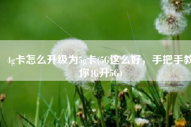 4g卡怎么升级为5g卡(5G这么好，手把手教你4G升5G)