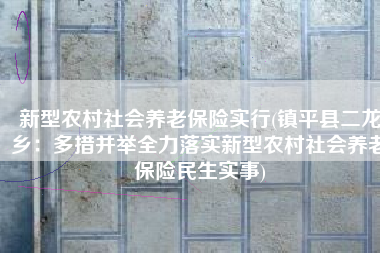 新型农村社会养老保险实行(镇平县二龙乡：多措并举全力落实新型农村社会养老保险民生实事)