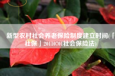 新型农村社会养老保险制度建立时间(「社保」20110701社会保险法)
