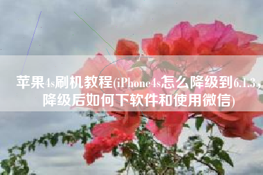 苹果4s刷机教程(iPhone4s怎么降级到6.1.3，降级后如何下软件和使用微信)