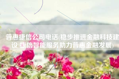 普惠捷信公司电话(稳步推进金融科技建设 捷信智能服务助力普惠金融发展)