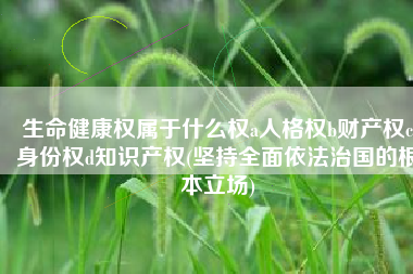 生命健康权属于什么权a人格权b财产权c身份权d知识产权(坚持全面依法治国的根本立场)