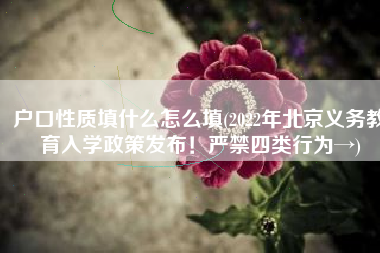 户口性质填什么怎么填(2022年北京义务教育入学政策发布！严禁四类行为→)