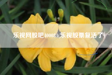 乐视网股吧400084(乐视股票复活了)
