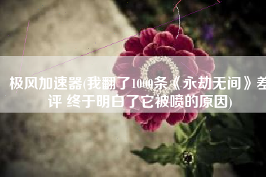 极风加速器(我翻了1000条《永劫无间》差评 终于明白了它被喷的原因)