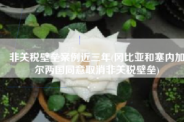 非关税壁垒案例近三年(冈比亚和塞内加尔两国同意取消非关税壁垒)