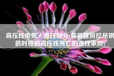 高压线电死人责任划分(雇员建房拉吊钢筋时碰触高压线死亡的责任承担)
