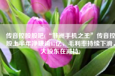 传音控股股吧(“非洲手机之王”传音控股上半年净赚逾17亿，毛利率持续下滑，大股东在减持)