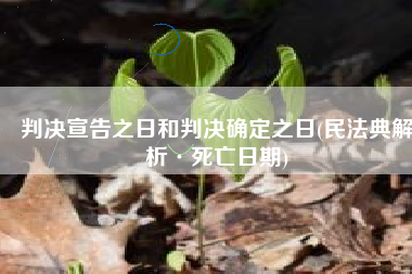 判决宣告之日和判决确定之日(民法典解析·死亡日期)