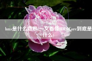 hms是什么意思(一文看懂HMS Core到底是什么)