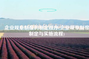 企业规章制度的制定程序(企业规章制度制定与实施流程)