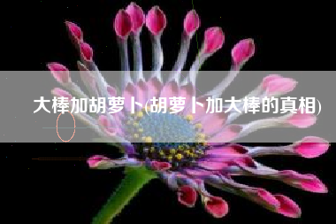 大棒加胡萝卜(胡萝卜加大棒的真相)