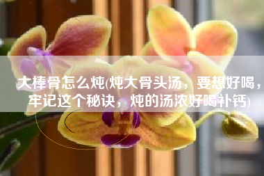 大棒骨怎么炖(炖大骨头汤，要想好喝，牢记这个秘诀，炖的汤浓好喝补钙)