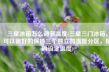 三星冰箱怎么调节温度(三星三门冰箱，可以很好的保持三个独立的温度分区，精确设定温度)