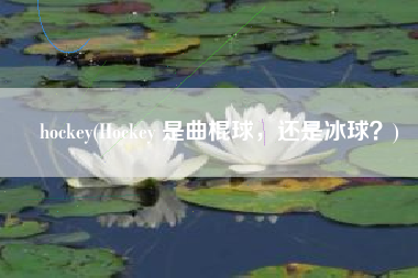 hockey(Hockey 是曲棍球，还是冰球？)