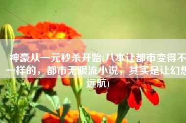 神豪从一元秒杀开始(八本让都市变得不一样的，都市无限流小说，其实是让幻想远航)