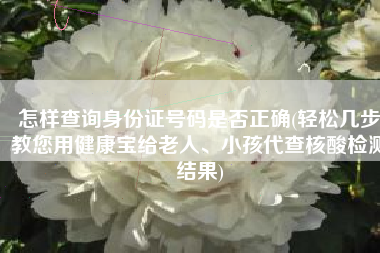 怎样查询身份证号码是否正确(轻松几步教您用健康宝给老人、小孩代查核酸检测结果)