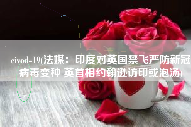 civod-19(法媒：印度对英国禁飞严防新冠病毒变种 英首相约翰逊访印或泡汤)