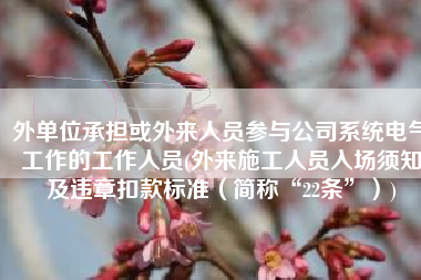 外单位承担或外来人员参与公司系统电气工作的工作人员(外来施工人员入场须知及违章扣款标准（简称“22条”）)