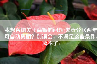 我想咨询关于离婚的问题(夫妻分居两年可自动离婚？别误会，不满足这些条件，离不了)