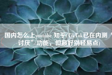 国内怎么上youtube 知乎(TikTok已在内测“讨厌”功能，但最好别轻易点)
