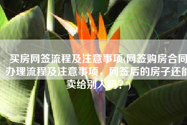 买房网签流程及注意事项(网签购房合同办理流程及注意事项，网签后的房子还能卖给别人吗？)