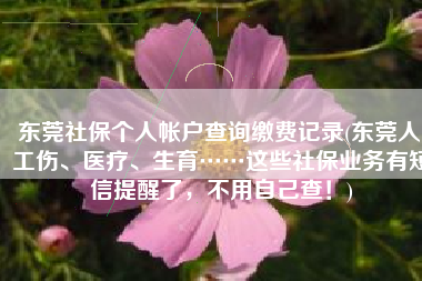 东莞社保个人帐户查询缴费记录(东莞人 工伤、医疗、生育……这些社保业务有短信提醒了，不用自己查！)