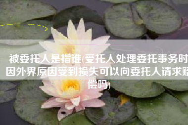 被委托人是指谁(受托人处理委托事务时因外界原因受到损失可以向委托人请求赔偿吗)