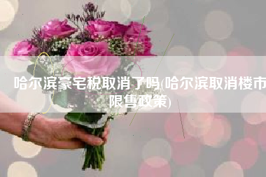 哈尔滨豪宅税取消了吗(哈尔滨取消楼市限售政策)