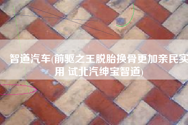 智道汽车(前驱之王脱胎换骨更加亲民实用 试北汽绅宝智道)