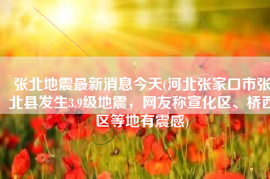 张北地震最新消息今天(河北张家口市张北县发生3.9级地震，网友称宣化区、桥西区等地有震感)