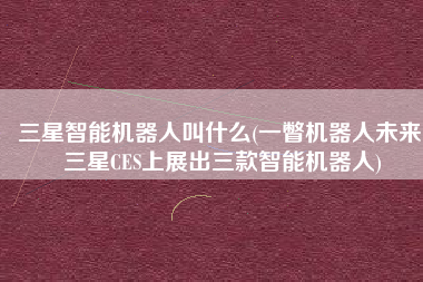 三星智能机器人叫什么(一瞥机器人未来 三星CES上展出三款智能机器人)