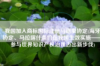 我国加入商标国际注册马德里协定(海牙协定、马拉喀什条约在我国生效实施——参与世界知识产权治理迈出新步伐)