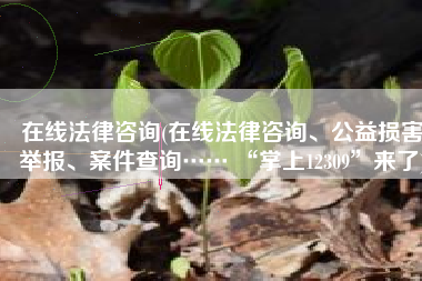 在线法律咨询(在线法律咨询、公益损害举报、案件查询…… “掌上12309”来了)