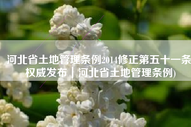 河北省土地管理条例2014修正第五十一条(权威发布｜河北省土地管理条例)