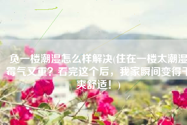 负一楼潮湿怎么样解决(住在一楼太潮湿霉气又重？看完这个后，我家瞬间变得干爽舒适！)