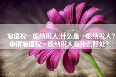 增值税一般纳税人(什么是一般纳税人？申请增值税一般纳税人有什么好处？)