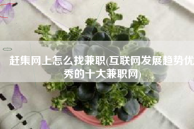 赶集网上怎么找兼职(互联网发展趋势优秀的十大兼职网)