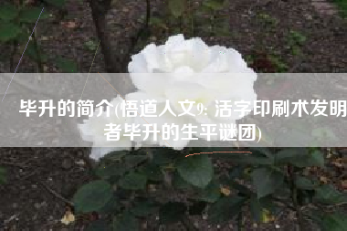 毕升的简介(悟道人文9: 活字印刷术发明者毕升的生平谜团)
