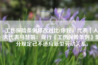 工伤保险条例修改对比(你好，代表｜人大代表马慧娟：现行《工伤保险条例》部分规定已不适应新型劳动关系)