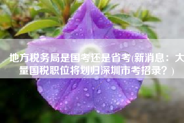 地方税务局是国考还是省考(新消息：大量国税职位将划归深圳市考招录？)