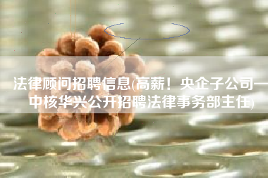 法律顾问招聘信息(高薪！央企子公司—中核华兴公开招聘法律事务部主任)