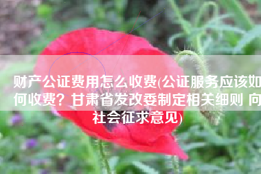 财产公证费用怎么收费(公证服务应该如何收费？甘肃省发改委制定相关细则 向社会征求意见)